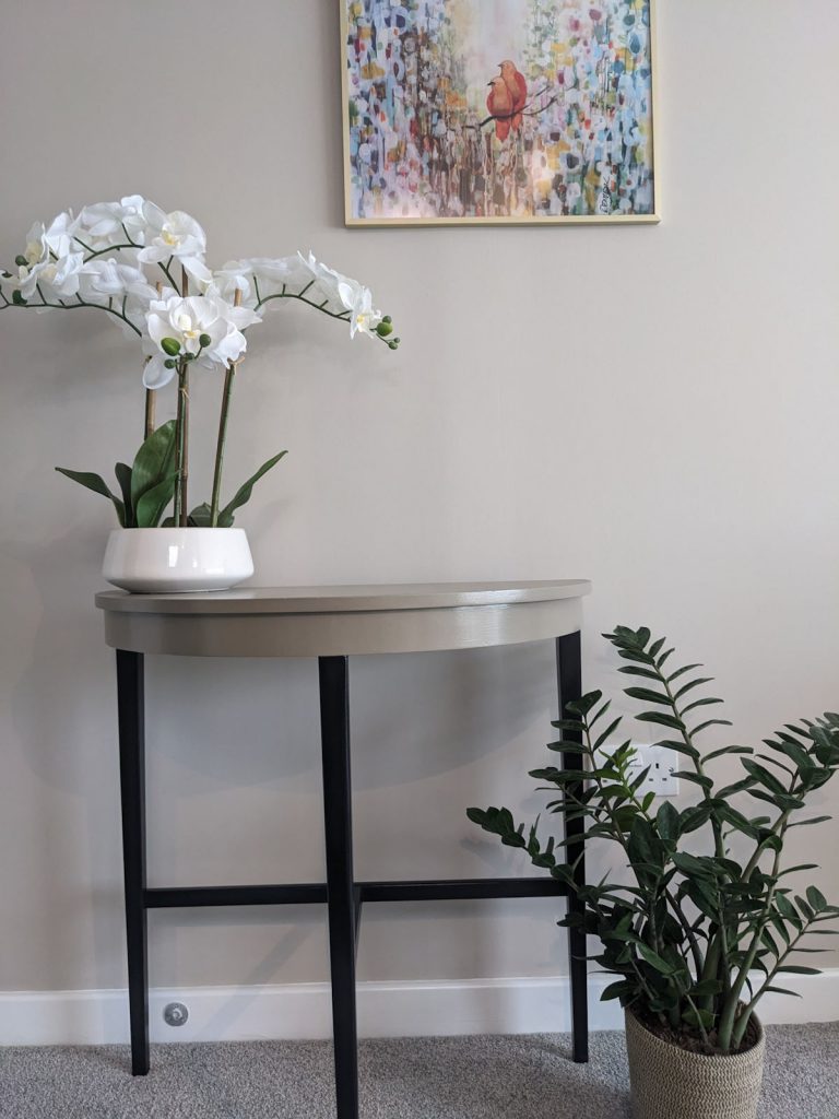 Half moon console table  upcycled with Algonquin and Coal Black Fusion paint 